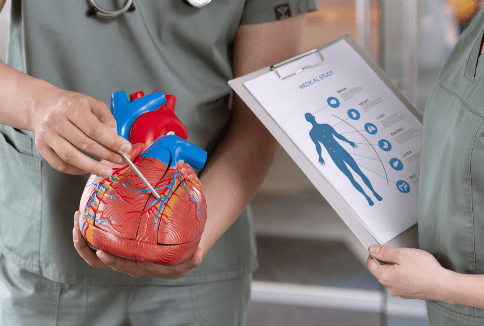Advanced Cardiovascular Life Support (ACLS)